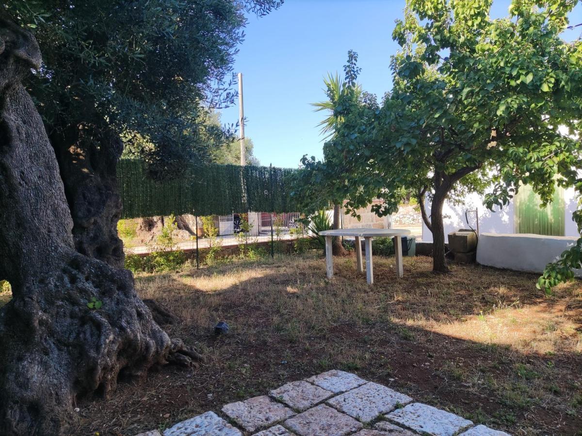 Trullo Sole E Vento Lägenhet Carovigno Exteriör bild
